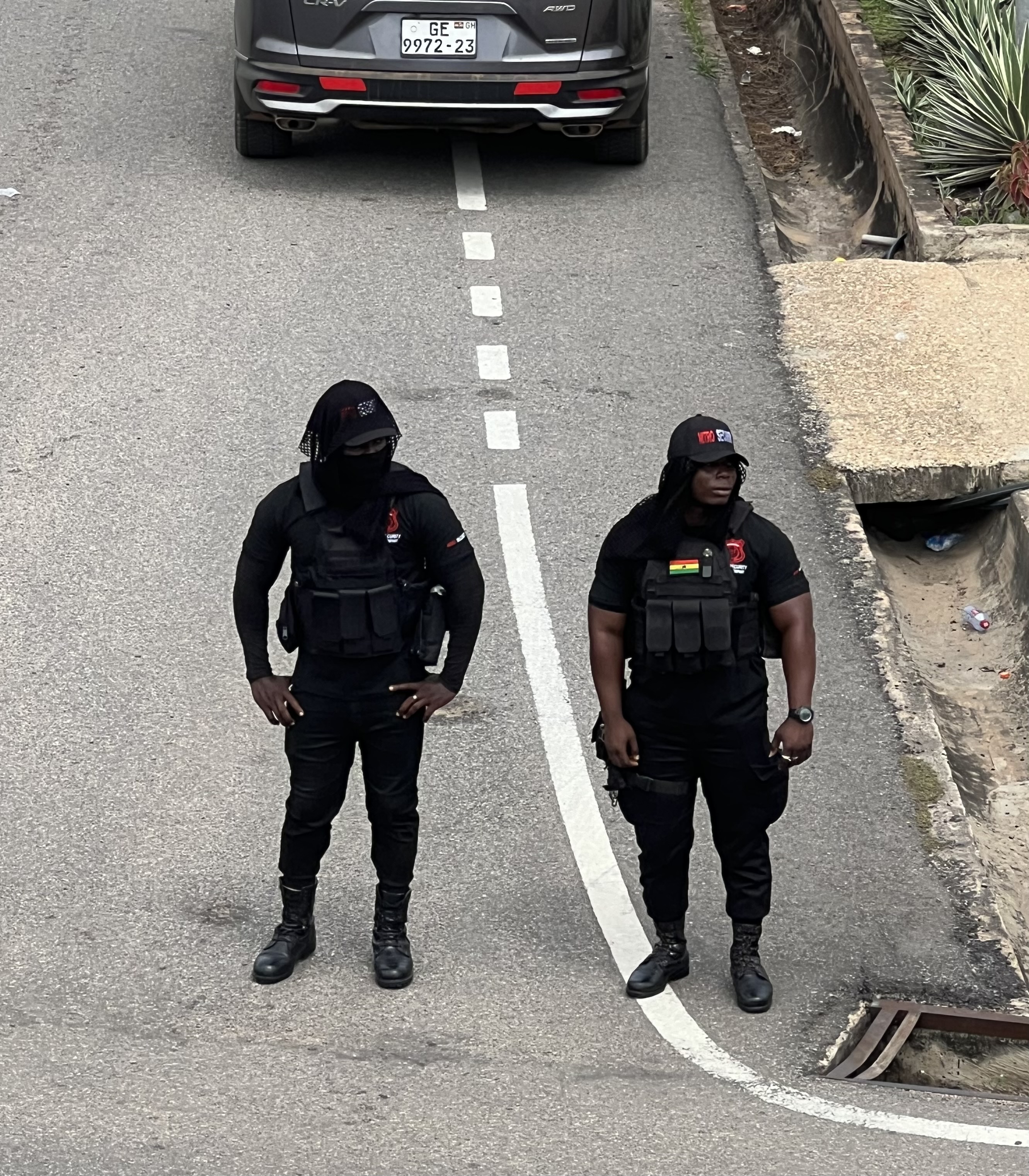 VIP Protection Services