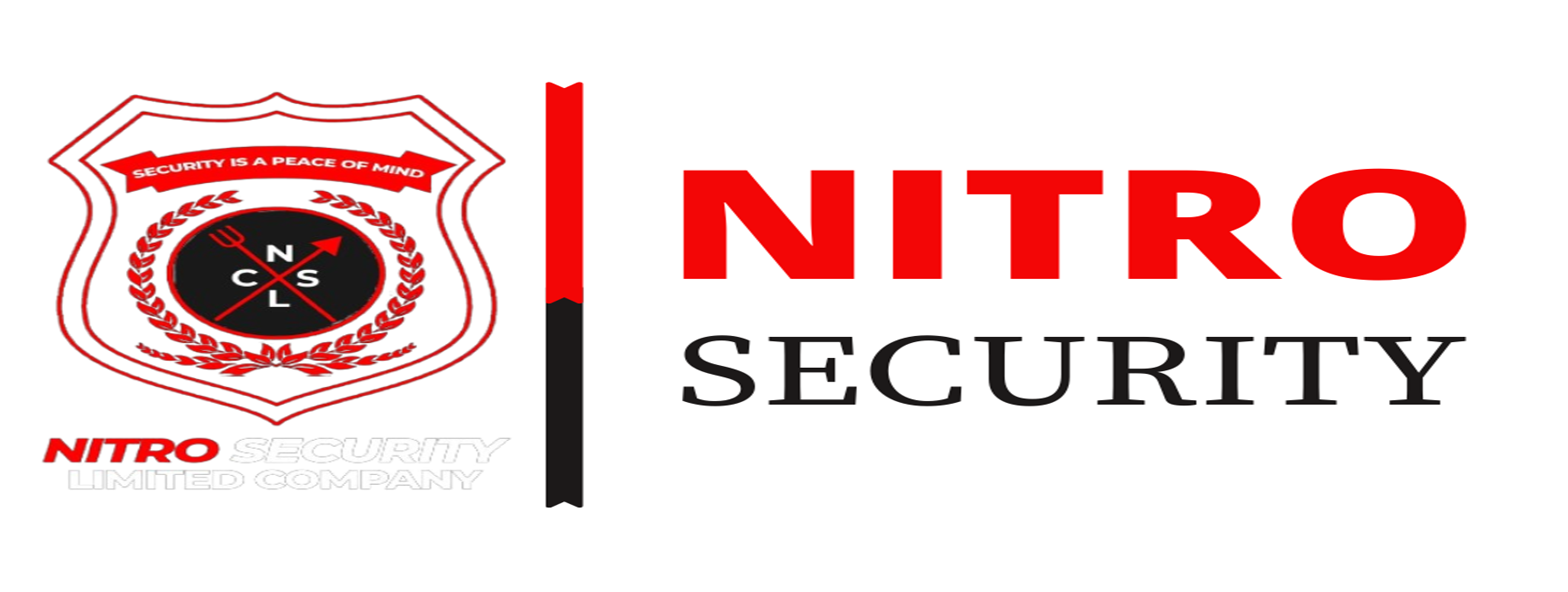 Nitro Security Ghana Logo
